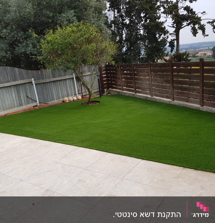 דשא סינתטי ועץ בגינה מגודרת